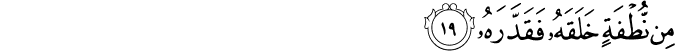 80/19