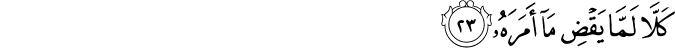 80/23