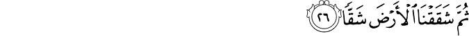 80/26