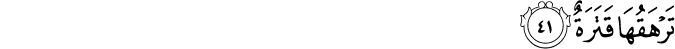 80/41