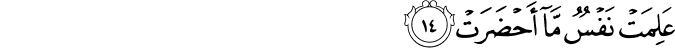 81/14