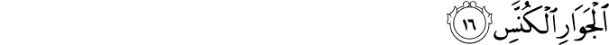 81/16