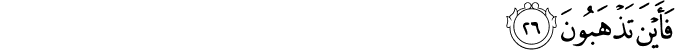 81/26