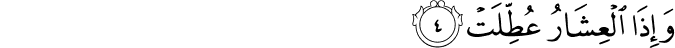 81/4