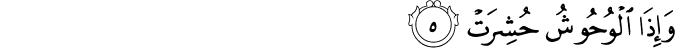 81/5