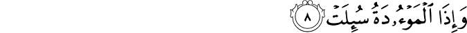 81/8