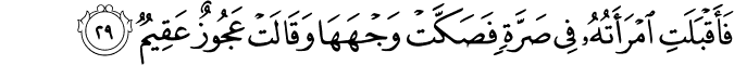 51/29