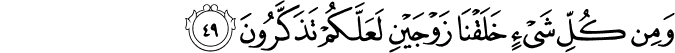 51/49
