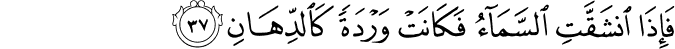 55/37