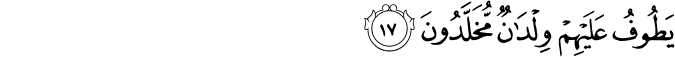 56/17