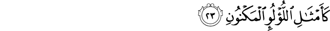 56/23
