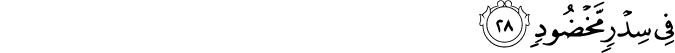 56/28