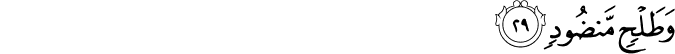 56/29
