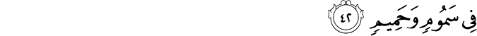 56/42