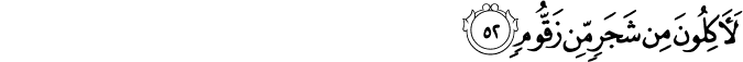 56/52