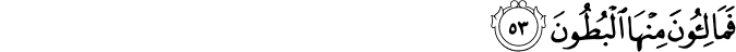 56/53