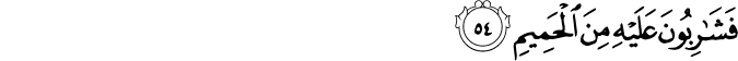 56/54