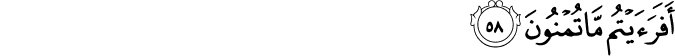 56/58