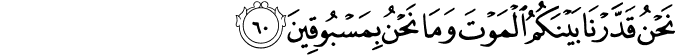 56/60