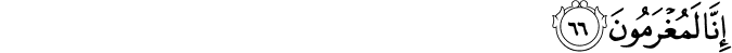 56/66