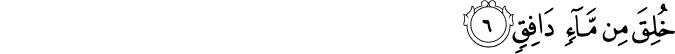86/6
