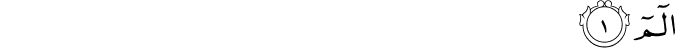 31/1