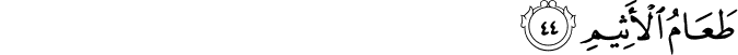 44/44