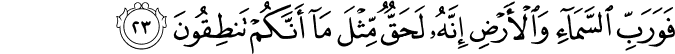 51/23