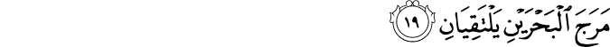 55/19