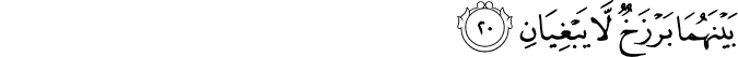 55/20
