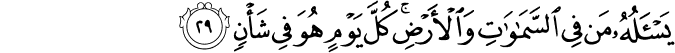 55/29
