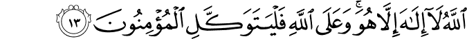 64/13