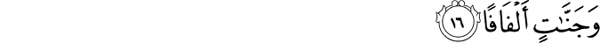 78/16