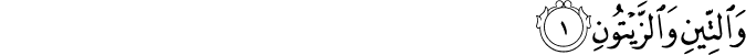 95/1